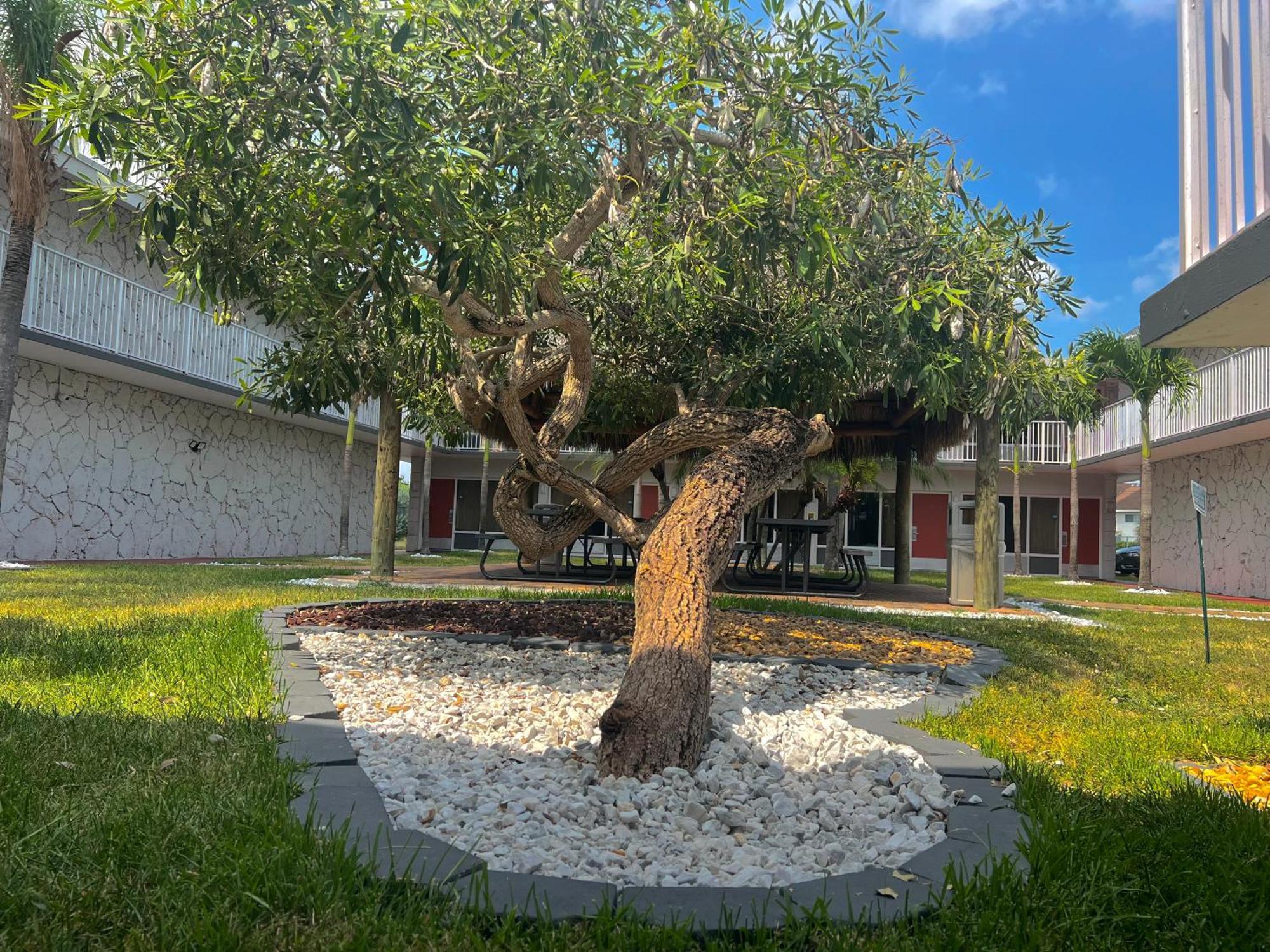 Garden Inn Homestead/Everglades/Gateway To Keys Экстерьер фото